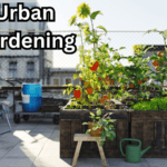 Creating an Oasis, Urban Survival Gardening Skills for City Dwellers