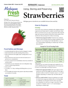 how to store and preserve strawberries