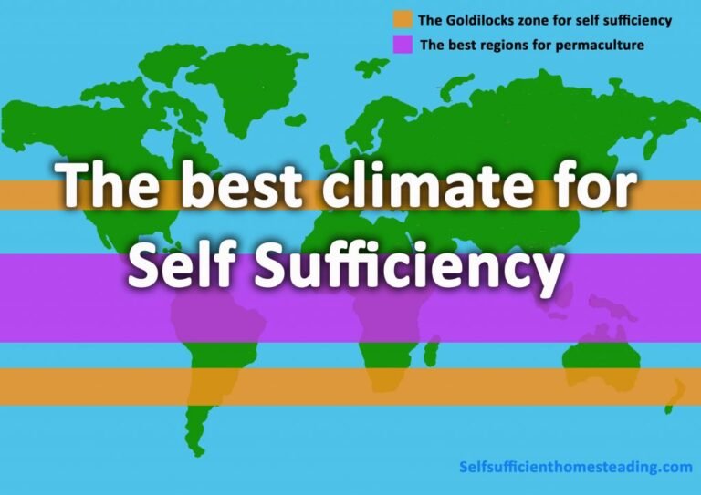 self sufficiency