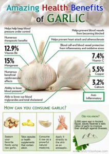 how to preserve garlic