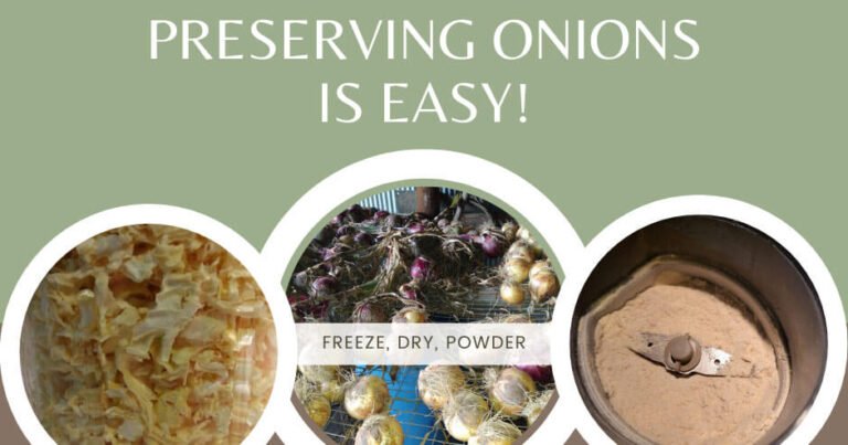 how to preserve onions