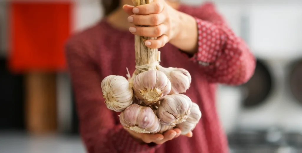 how to preserve garlic