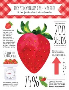 how to store and preserve strawberries