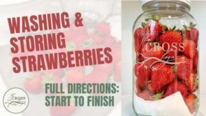 how to store and preserve strawberries