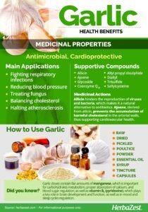 how to preserve garlic