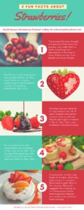 how to store and preserve strawberries