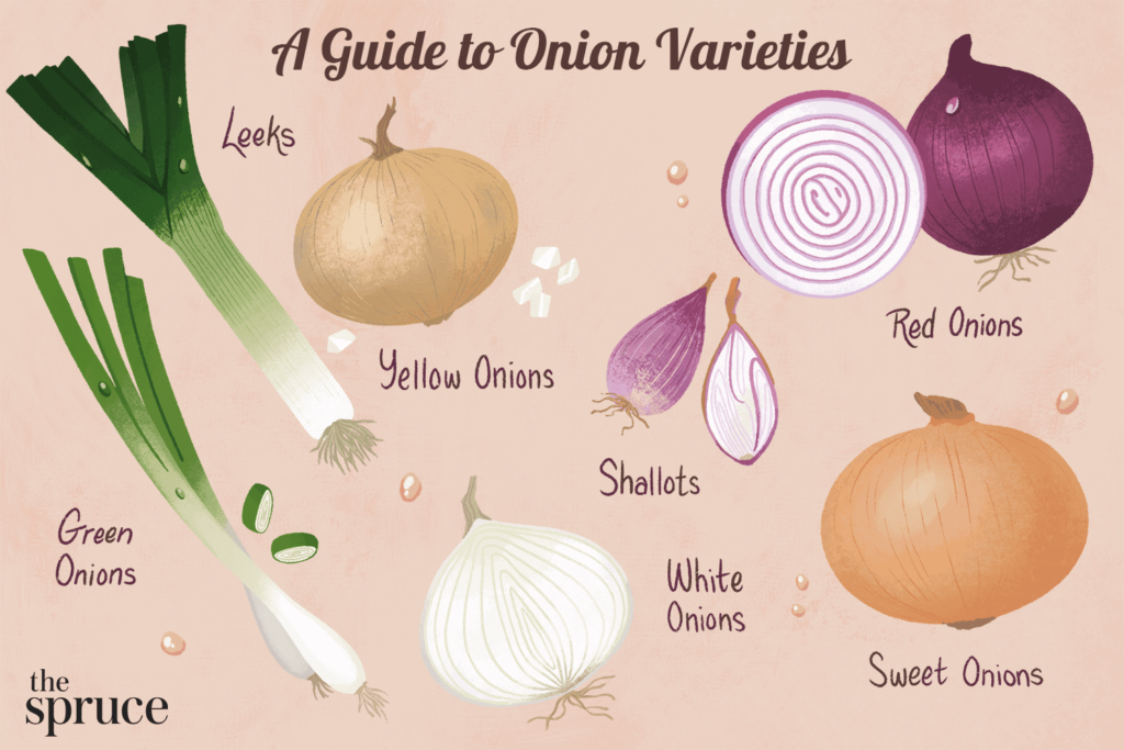 how to preserve onions